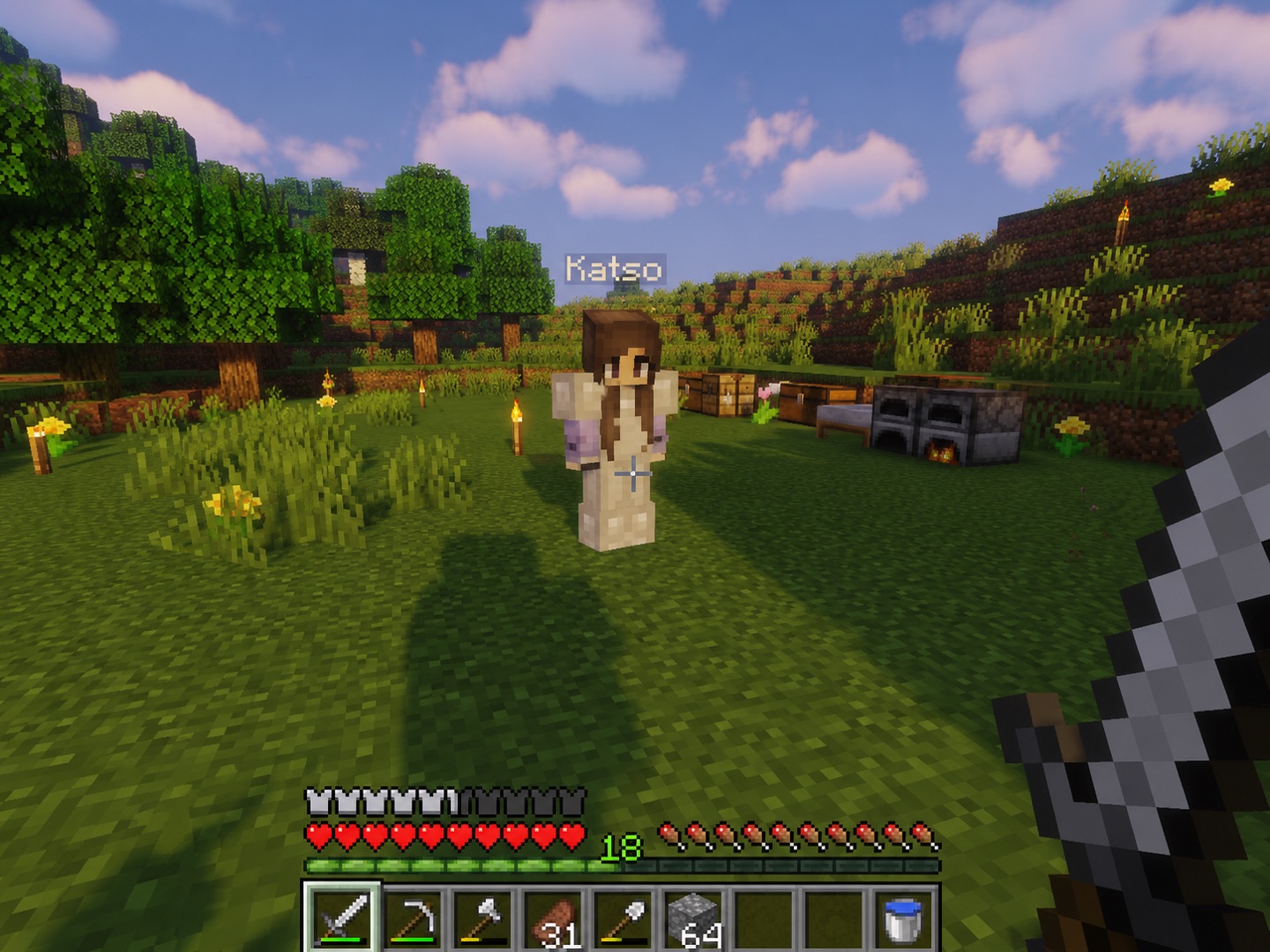 Peranima's companion Katso standing in a player-built Minecraft world